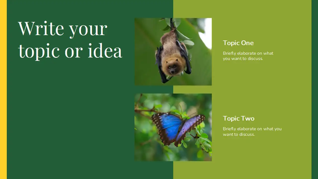 Minimal Biology Rainforest Wildlife Slides