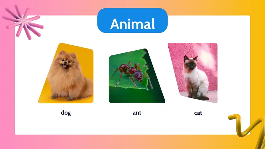 Noun Slides for Grade 1