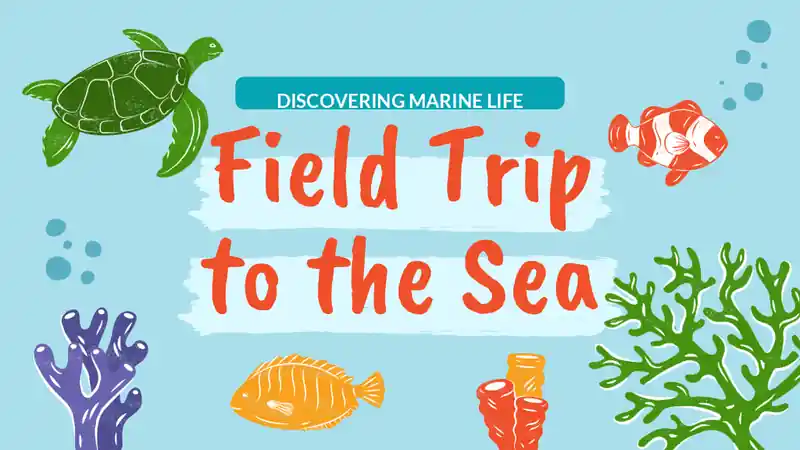 Pastel Field Trip to the Sea Slides