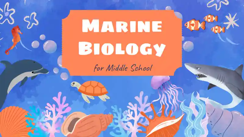 Watercolor Marine Biology Slides