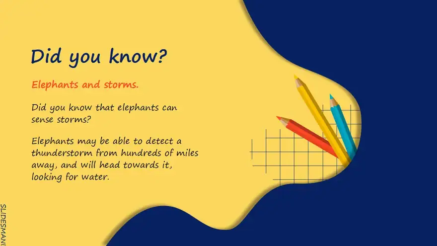 Welcome back to School! Fun slides theme.