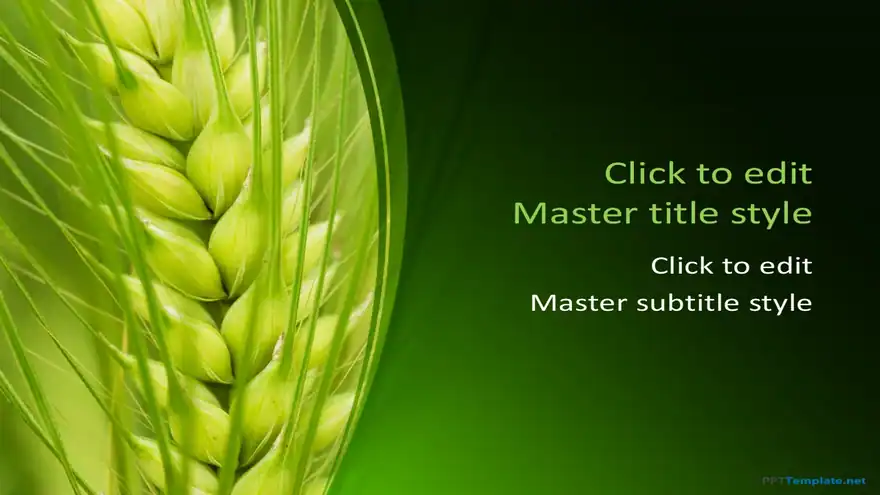 10151-wheat-ppt-template-0002