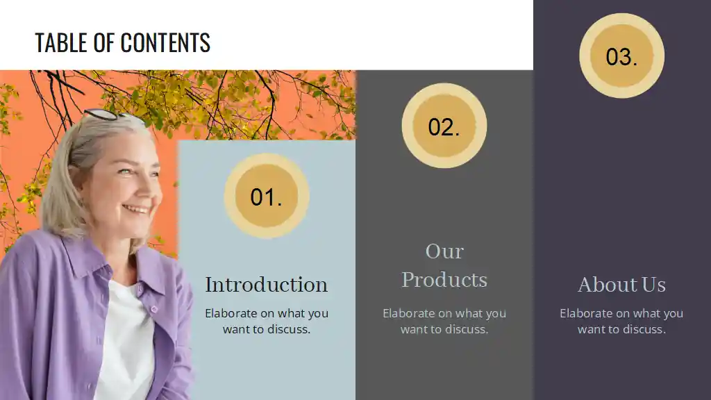 Financial Security in Retirement Slides
