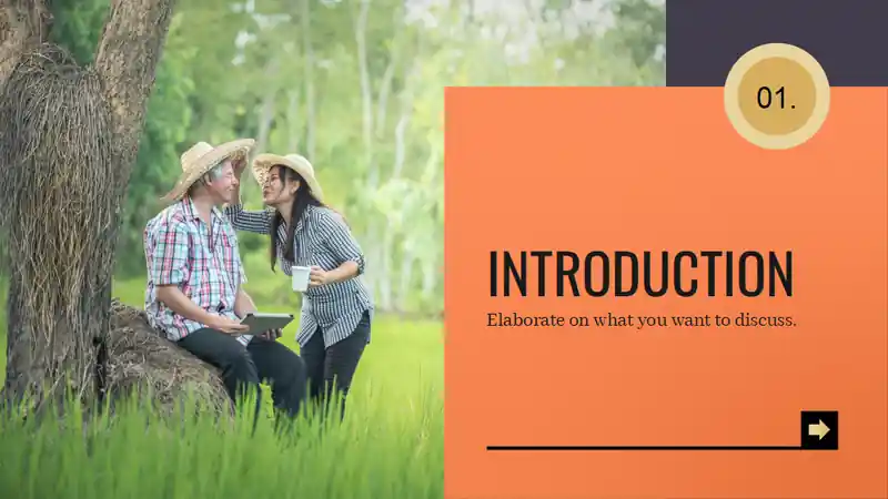 Financial Security in Retirement Slides