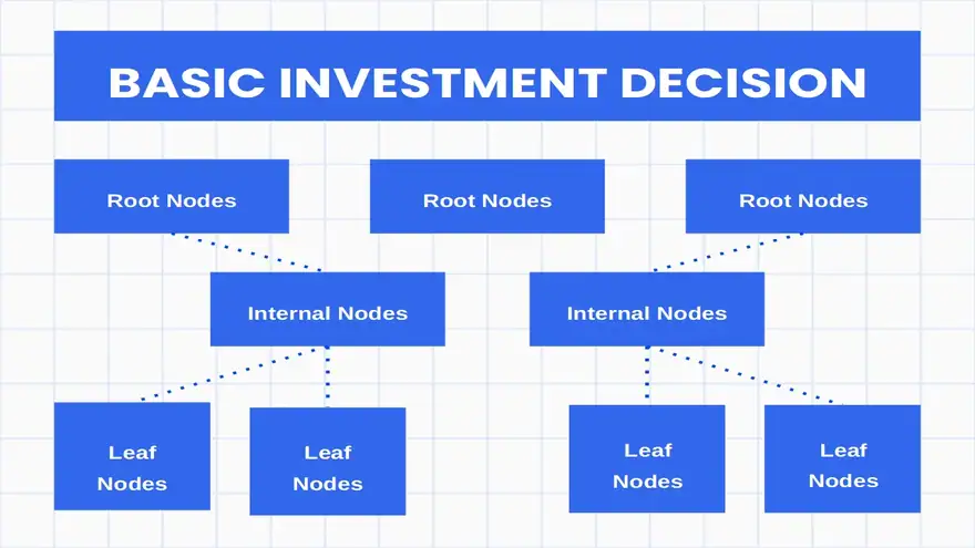 Investment Risk Management Plan