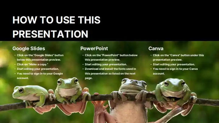 Minimal Animal Rescue Slides