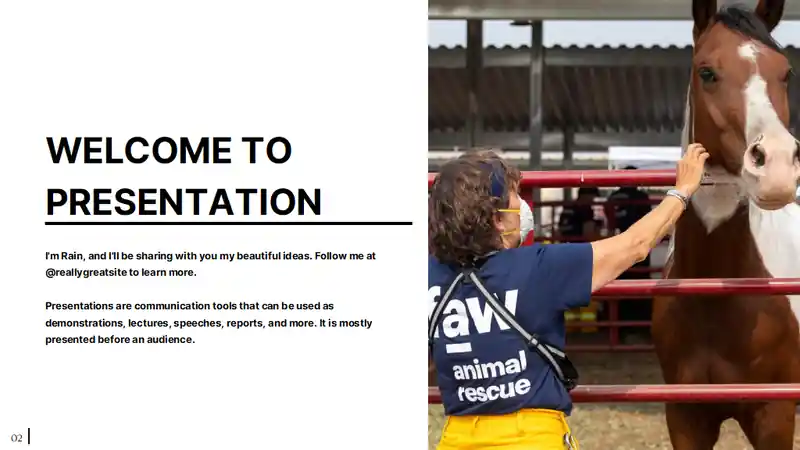 Minimal Animal Rescue Slides