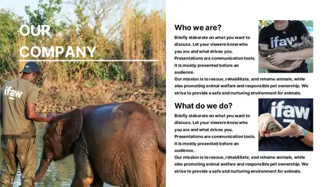 Minimal Animal Rescue Slides