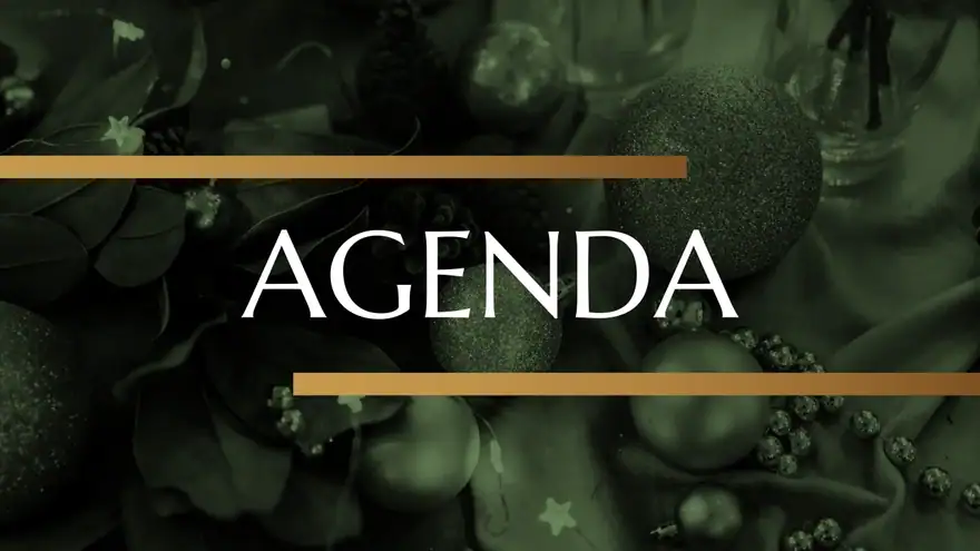 New Year Business Budget Planning Slides