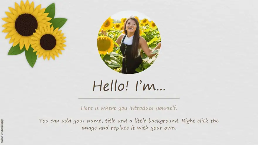 Cute sunflowers, Google Slides and ppt template.
