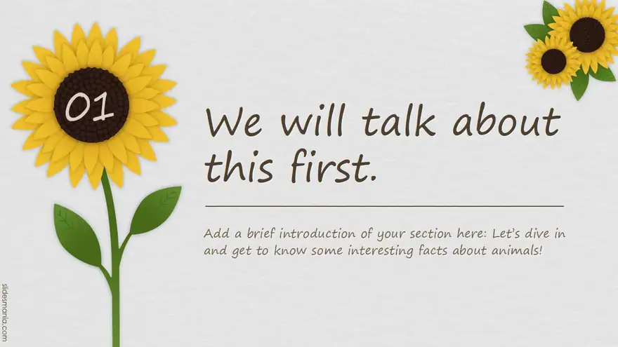 Cute sunflowers, Google Slides and ppt template.