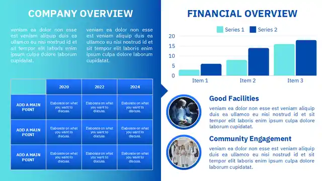 Healthcare Executive Summary Infographics