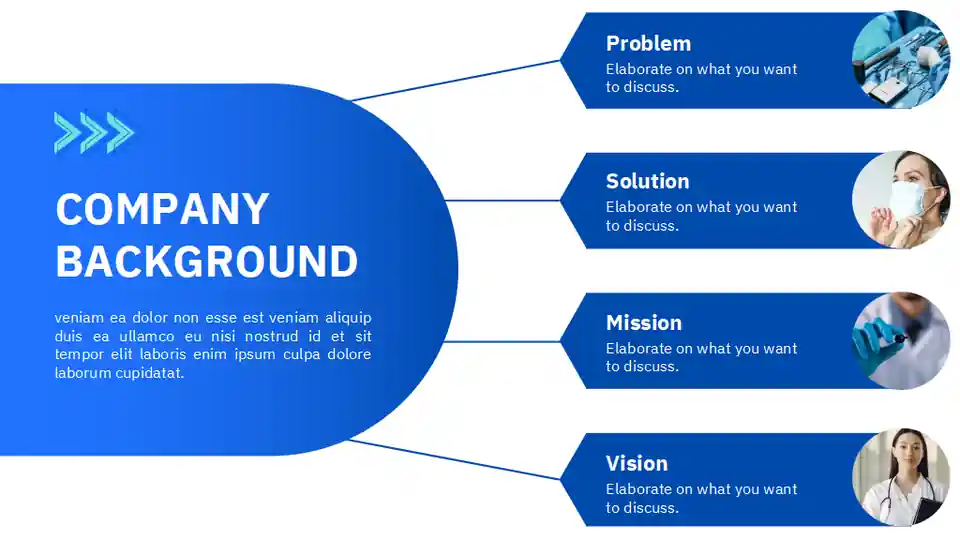 Healthcare Executive Summary Infographics