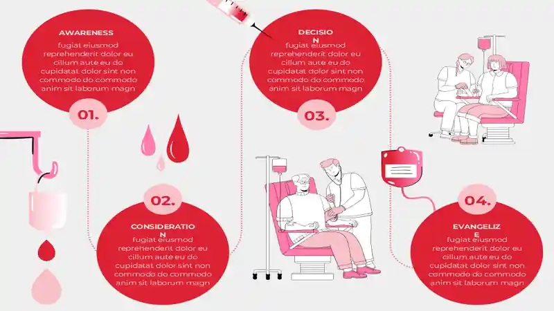 Donor Journey Map Infographic