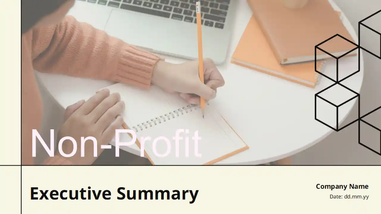 Non Profit Executive Summary Infographics