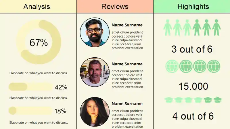 Non Profit Executive Summary Infographics