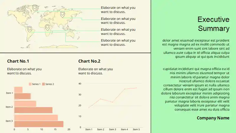 Non Profit Executive Summary Infographics