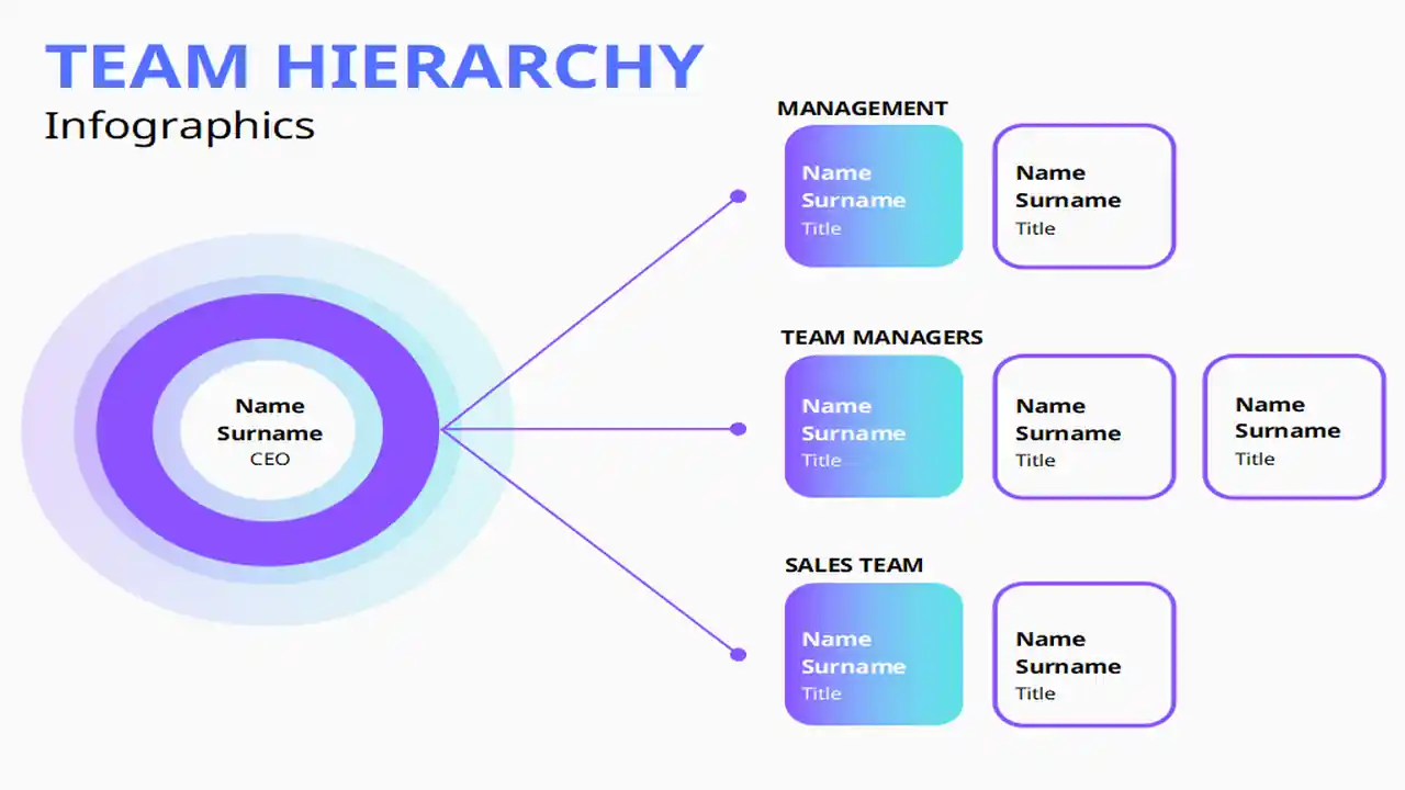 Team Hierarchy Infographics