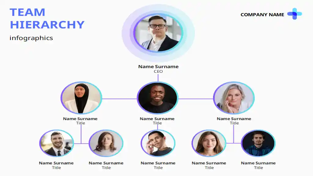 Team Hierarchy Infographics