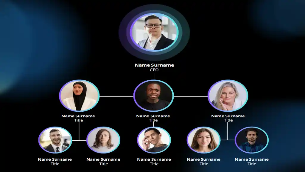 Team Hierarchy Infographics