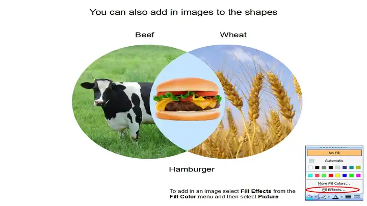 Venn Diagram Template