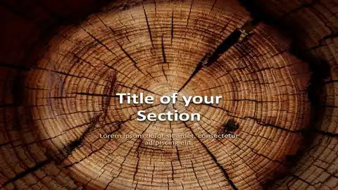 WOODEN LOGS – Nature Template for PowerPoint and Google Slides