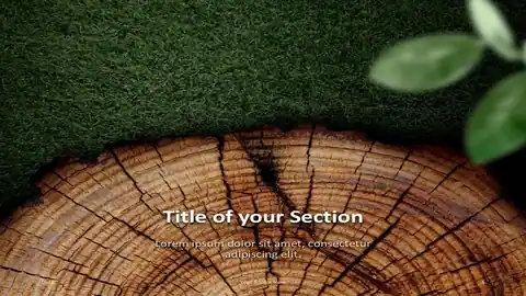 WOODEN LOGS – Nature Template for PowerPoint and Google Slides