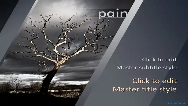 10370-pain-ppt-template-0001