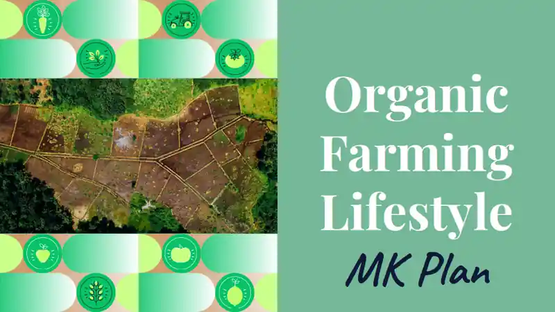 Organic Farming Lifestyle Marketing Plan Slides