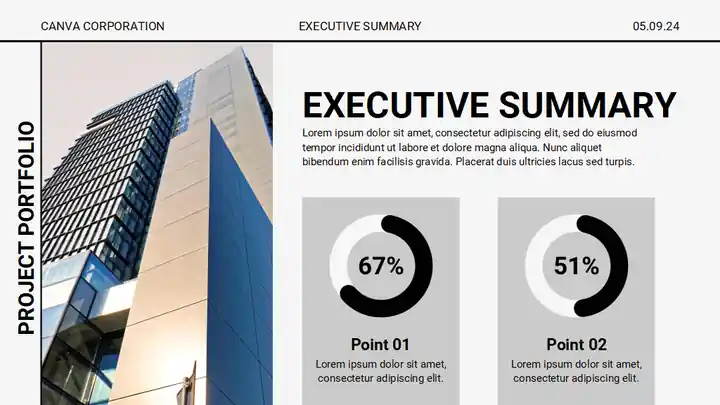 Project Portfolio Executive Summary Slides