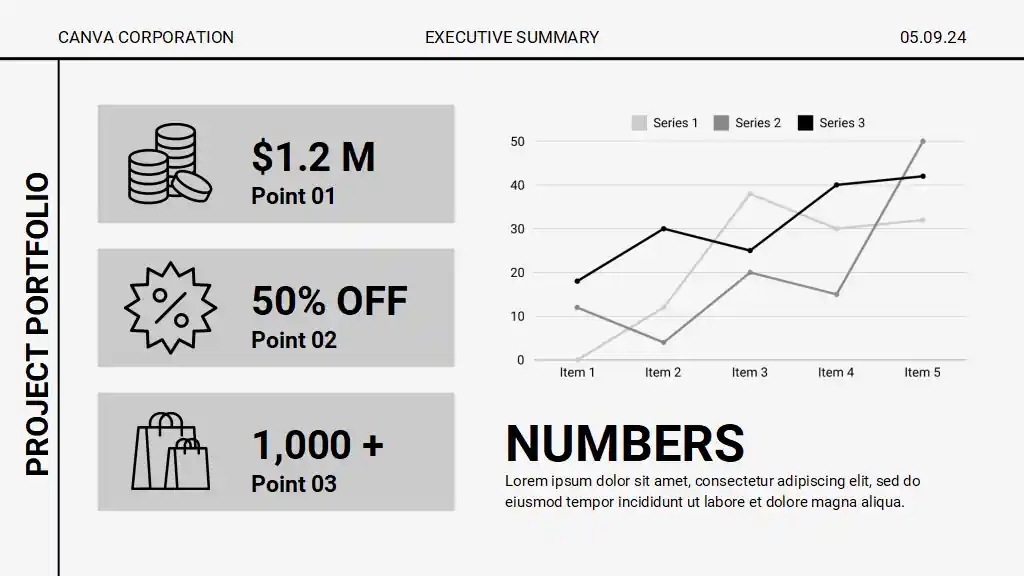 Project Portfolio Executive Summary Slides