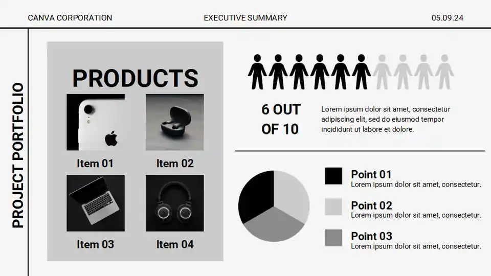 Project Portfolio Executive Summary Slides