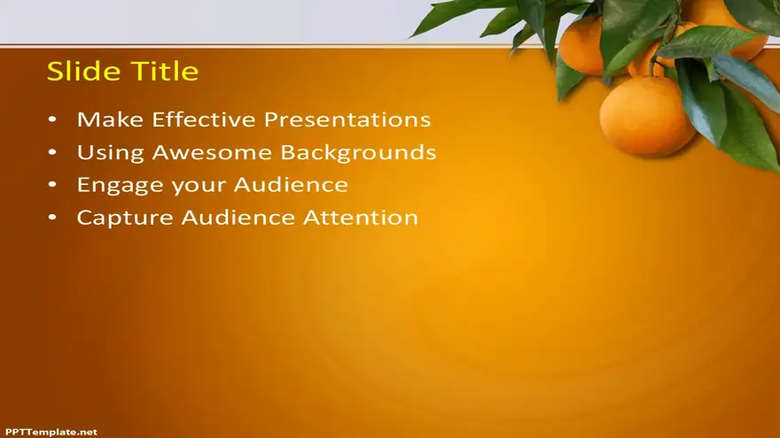 0028-agriculture-ppt-template