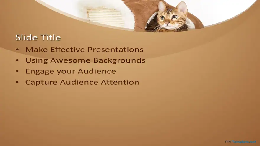 10243-cats-ppt-template-0001