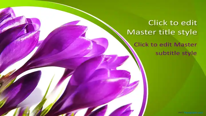 10249-crocus-flower-ppt-template-0001