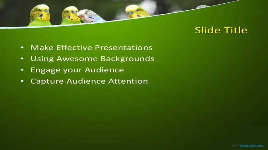 10297-parrots-ppt-template-0001