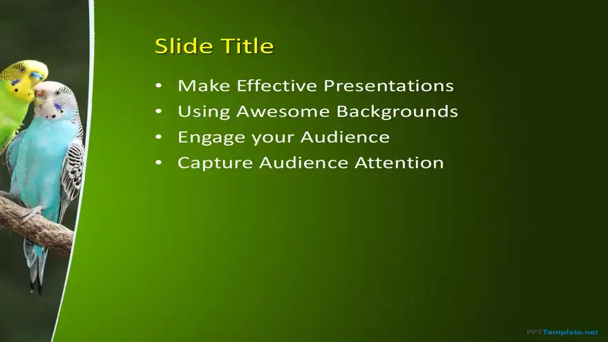 10297-parrots-ppt-template-0001