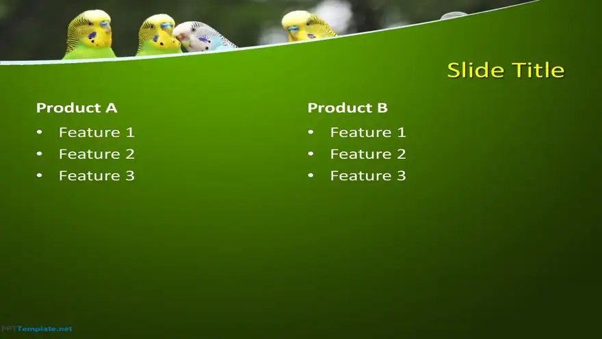 10297-parrots-ppt-template-0001