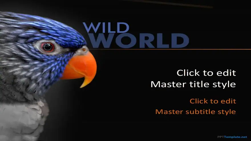 10378-bird-ppt-template-0001