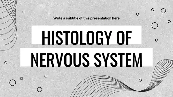Histology of Nervous System Slides