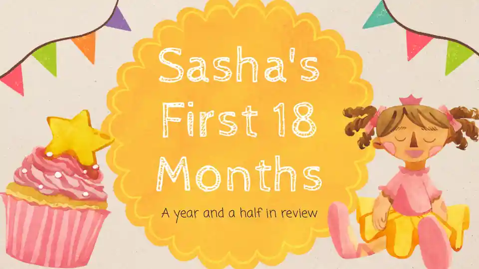 Baby's First 18 Months Milestones Slides