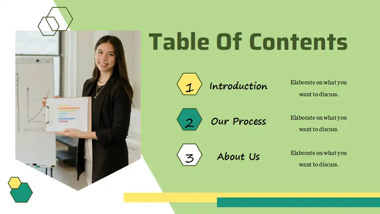 Geometric Business Project Management Online Training Slides