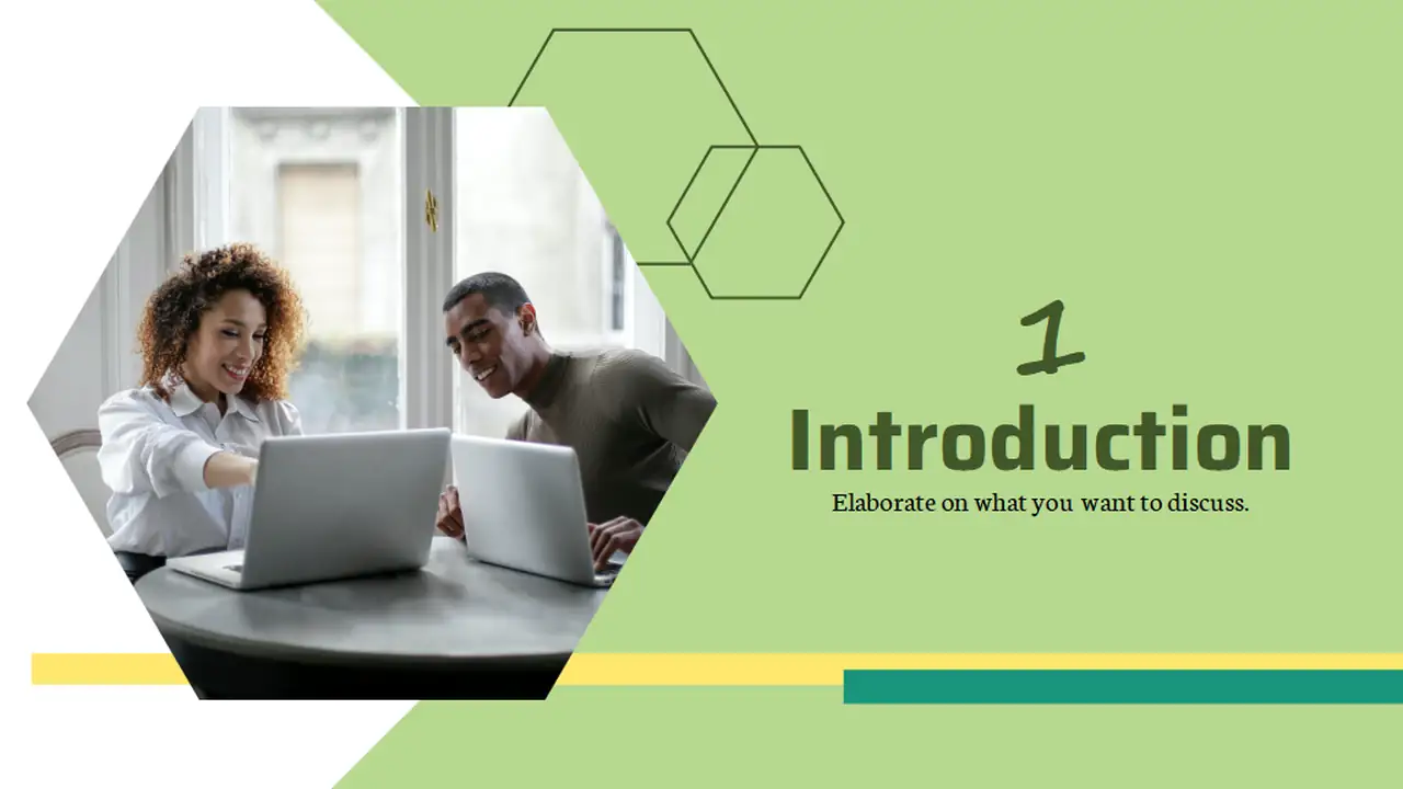 Geometric Business Project Management Online Training Slides