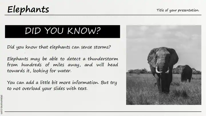 Newspaper style Canva, Google Slides and Ppt presentation template.