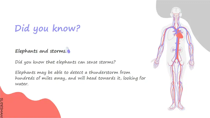 Free medical slides theme.
