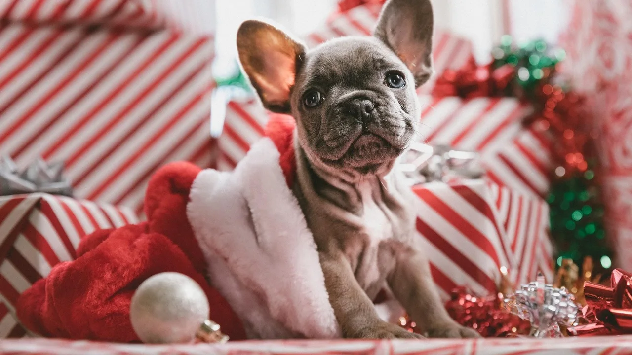 Happy Holidays. Christmas presentation template.