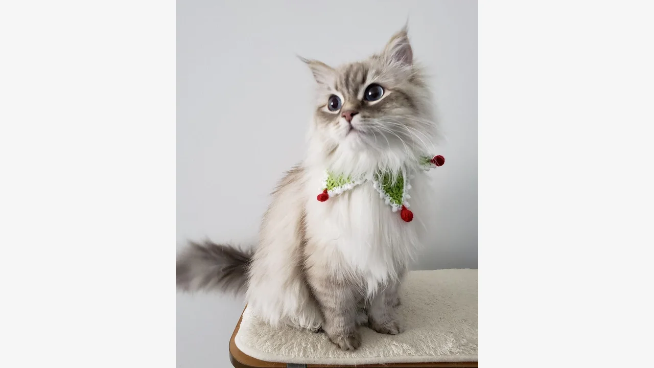 Happy Holidays. Christmas presentation template.