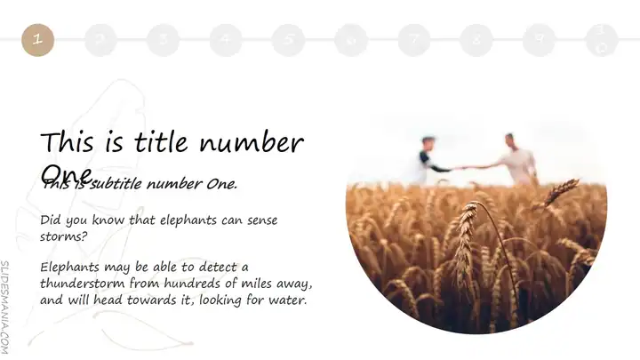 Sophie, elegant presentation template.