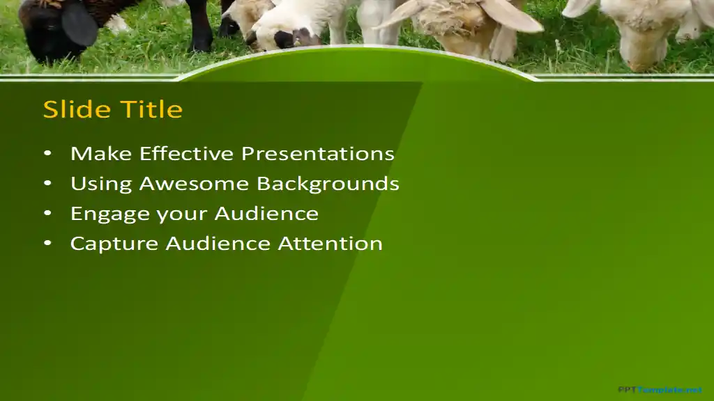 Free Sheep in a Field PPT Template