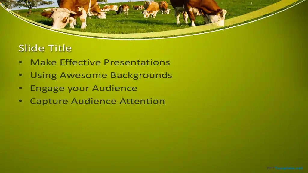 Free Cows PPT Template